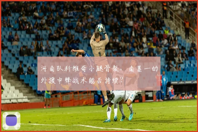 河南队科维奇小腿骨裂，南基一的外援中锋战术能否持续？